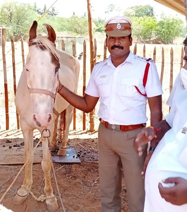 கார்த்திகேயன்