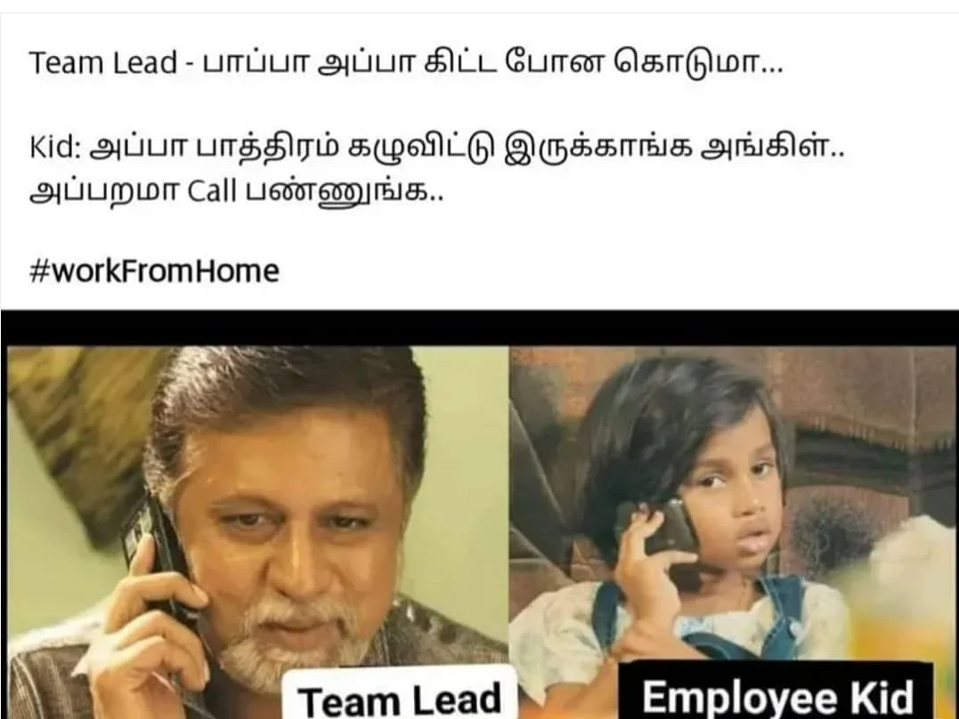Work From Home Memes
