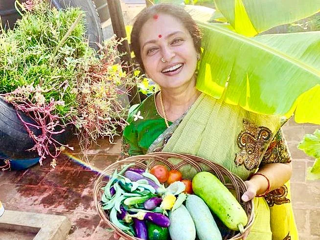 `என் மாடித்தோட்டத்துலயே காய்கறிகள், பழங்கள் கிடைக்குது; வீட்டை விட்டு வெளியே போறதேயில்லை!’ - நடிகை சீதா