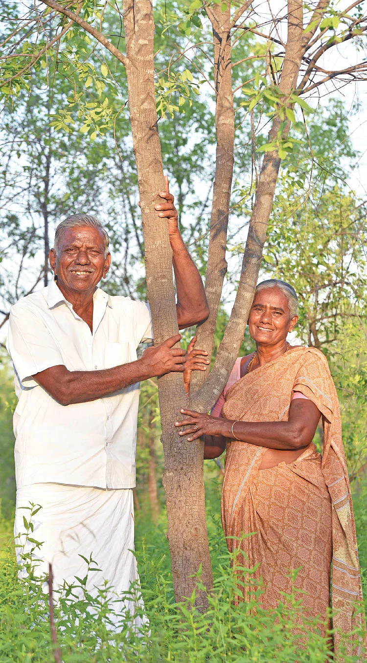 தங்கவேல் - பழனியம்மாள் தம்பதி