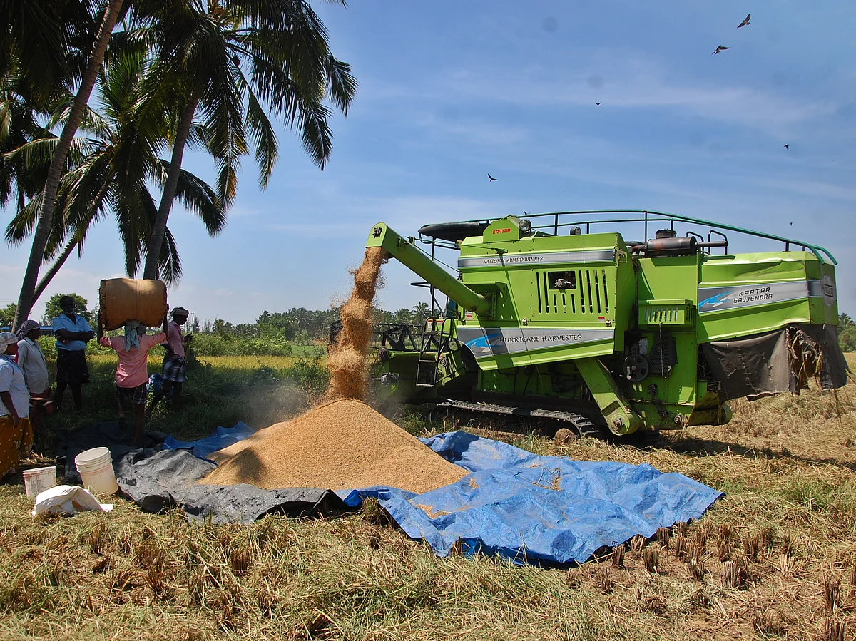 அறுவடை முதல் விற்பனை வரை; கொரோனா தாக்கத்திலும் உணவு உற்பத்தி செய்யும் விவசாயிகள்! #VikatanPhotoStory