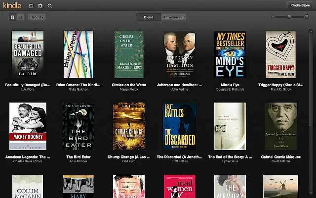 Kindle Page