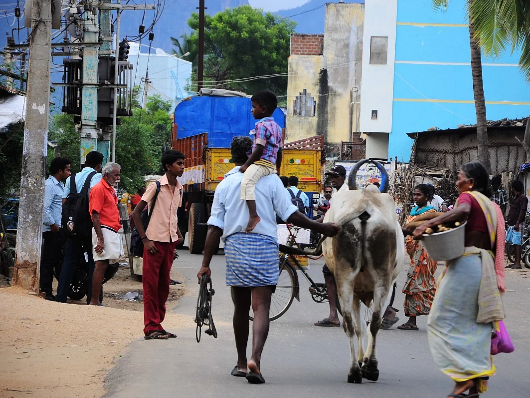 காக்கா குளியல்னா என்ன.. மூஞ்சூரை கொன்னா தலைவலி வருமா? -கிராமத்து மொழி உணர்த்தும் பாடம் #MyVikatan