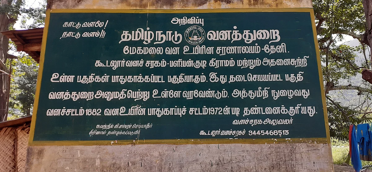 பளியன்குடி கிராமம்
