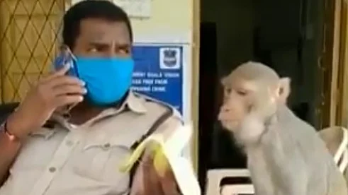 பழம் வழங்கும் காவலர்