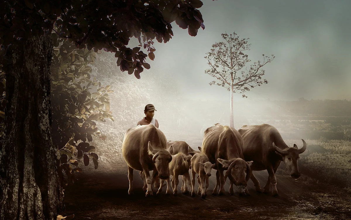 Representational Image