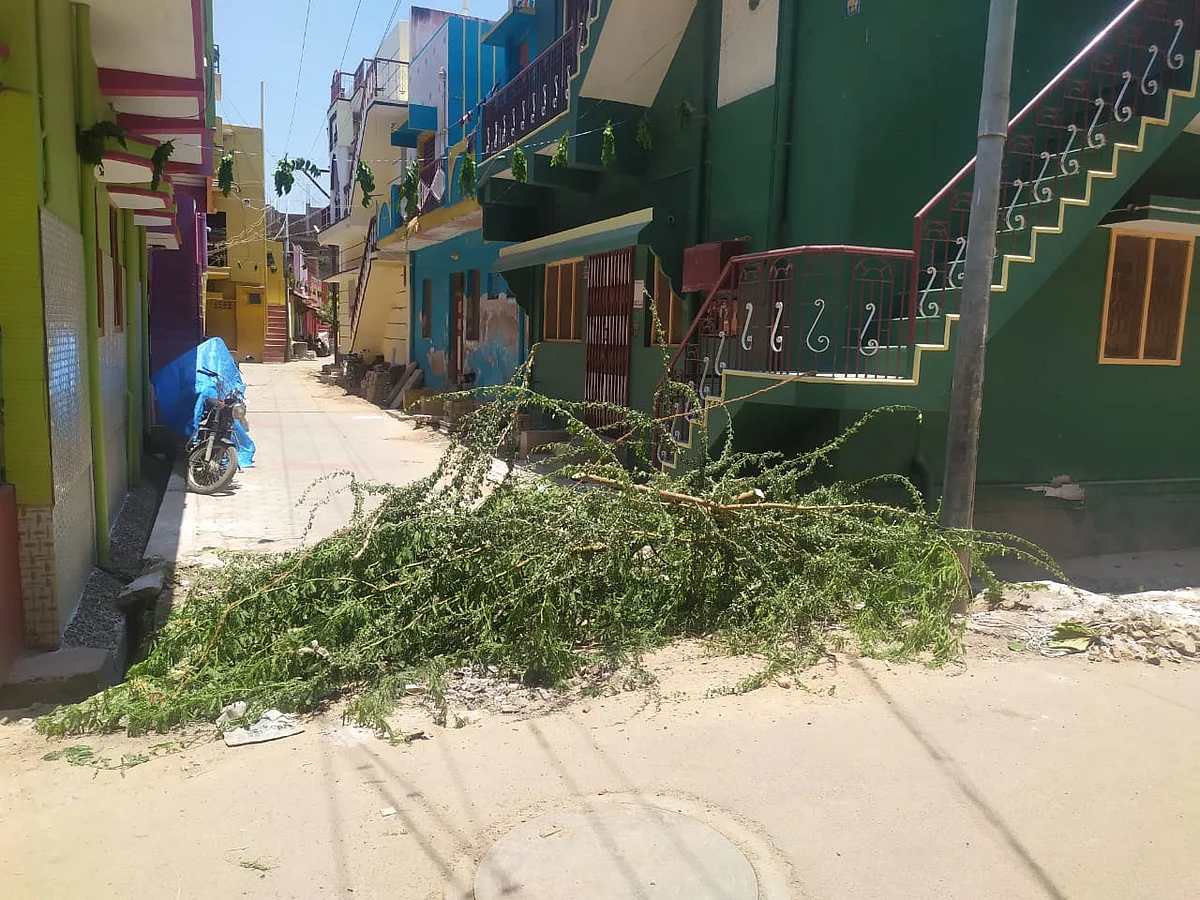 முள்களால் அடைக்கப்பட்டுள்ள தெரு