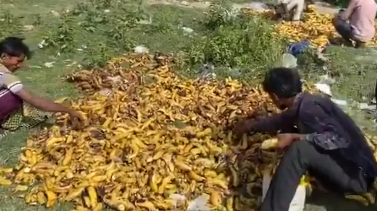 தொழிலாளர்கள்