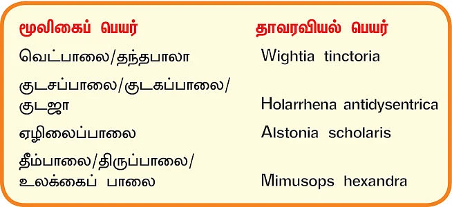 நல்மருந்து 2.0 - தோல் நோய்க்கு வெட்பாலை! - கழிச்சலைப் போக்கும் குடசப்பாலை!