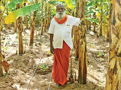 வாழை + தென்னை + பாக்குக் கூட்டணி! - 6 ஏக்கர், ரூ.11 லட்சம்!