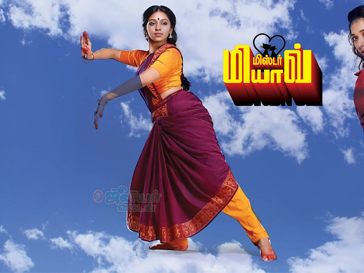மிஸ்டர் மியாவ்