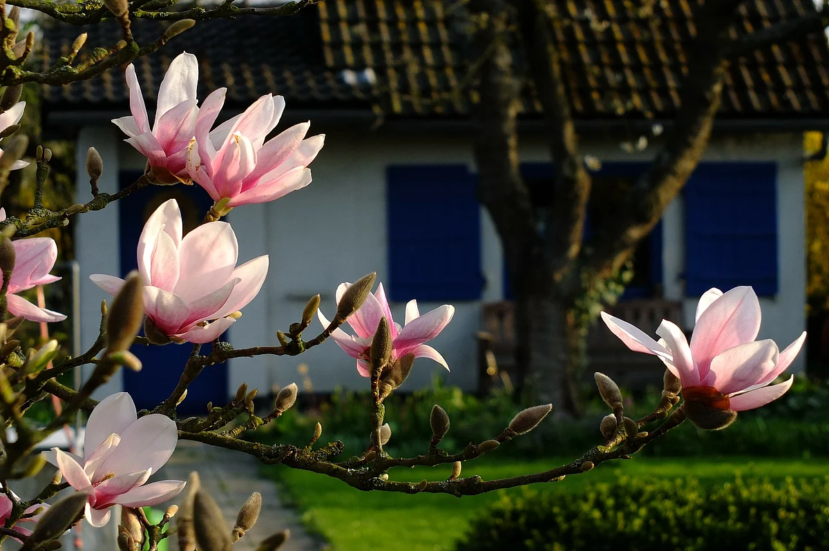 Representational Image