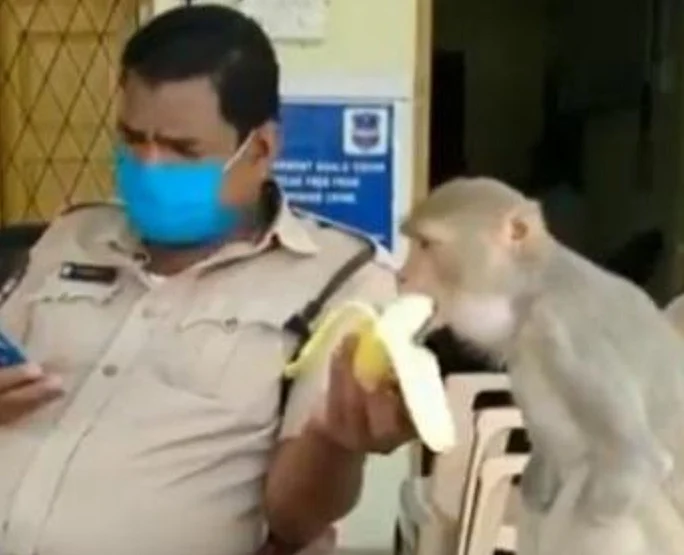 வைரல் வீடியோ