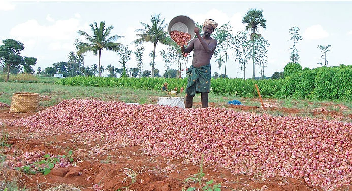 வெங்காயம்