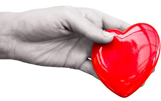 Organ donation - Representational Image