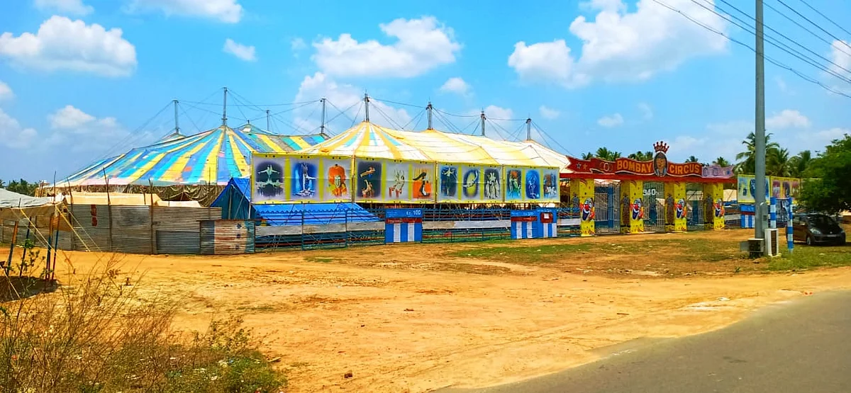 சர்க்கஸ்