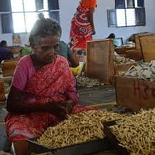தொழிலாளர்கள்
