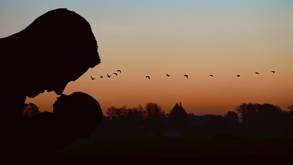 Representational Image