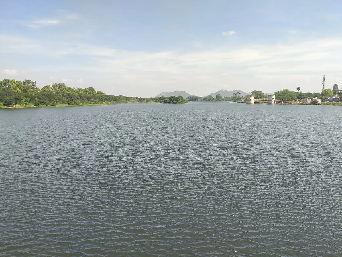 `அரசால் செய்ய முடியாததை கொரோனா செய்தது!' -ஊரடங்கால் தூய்மையான தாமிரபரணி