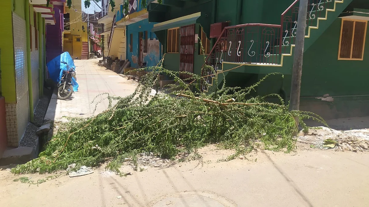 முள்களால் அடைக்கப்பட்டுள்ள தெரு