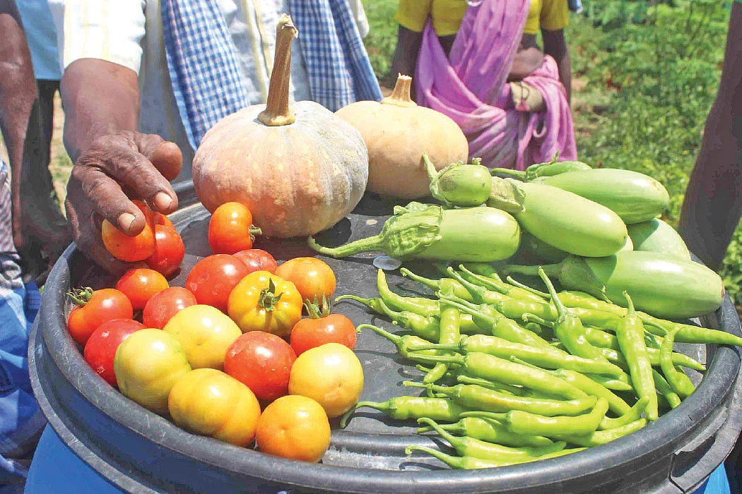 இங்கு இயற்கைக் காய்கறிகள் இலவசம்... கரூரில் சமுதாயக் காய்கறித் தோட்டம்...