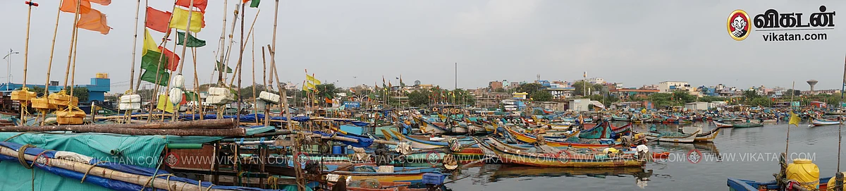 சென்னை காசிமேடு மீன்பிடி துறைமுகம்