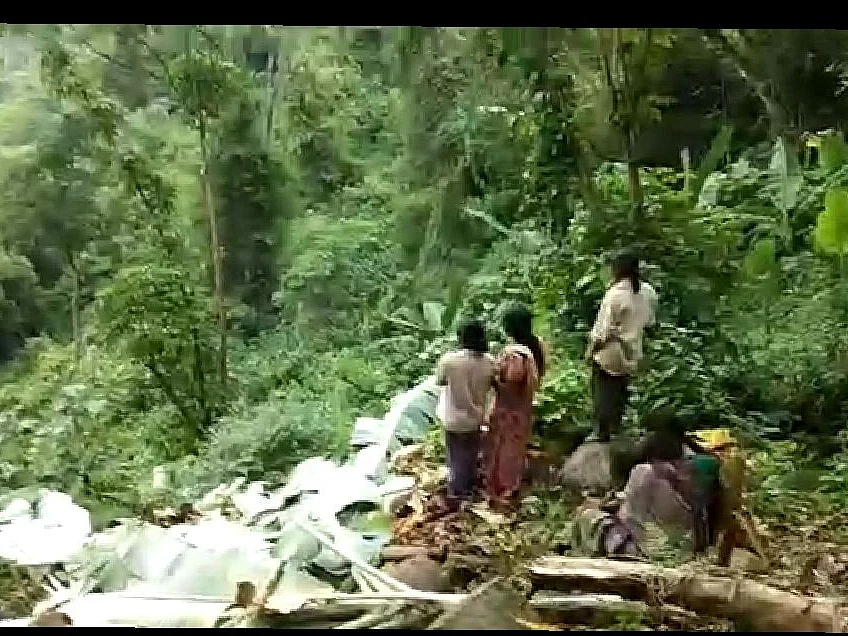 `பிள்ளை மாதிரி வளர்த்த வாழையை வெட்டி அழிச்சிட்டீங்களே'- வனத்துறை செயலால் கதறும் பழங்குடிகள்