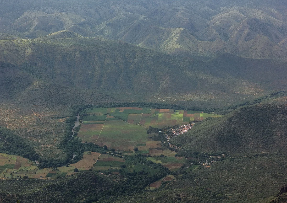 மேற்குத் தொடர்ச்சி மலை