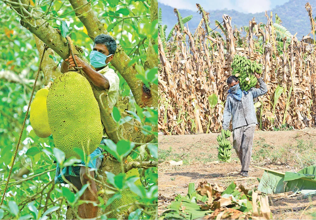 இயற்கை விவசாயி