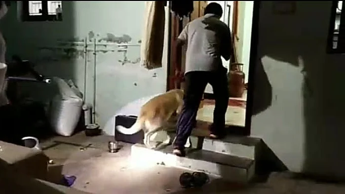 கொலை நடந்த வீட்டில் மோப்ப நாய்