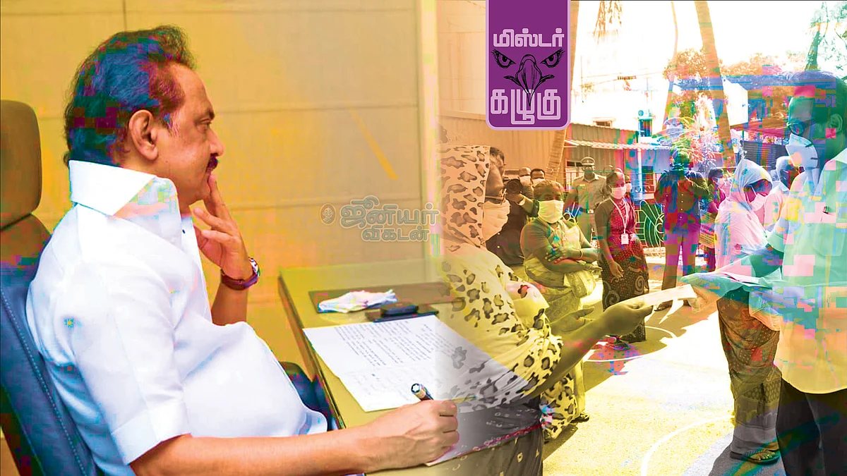 மிஸ்டர் கழுகு