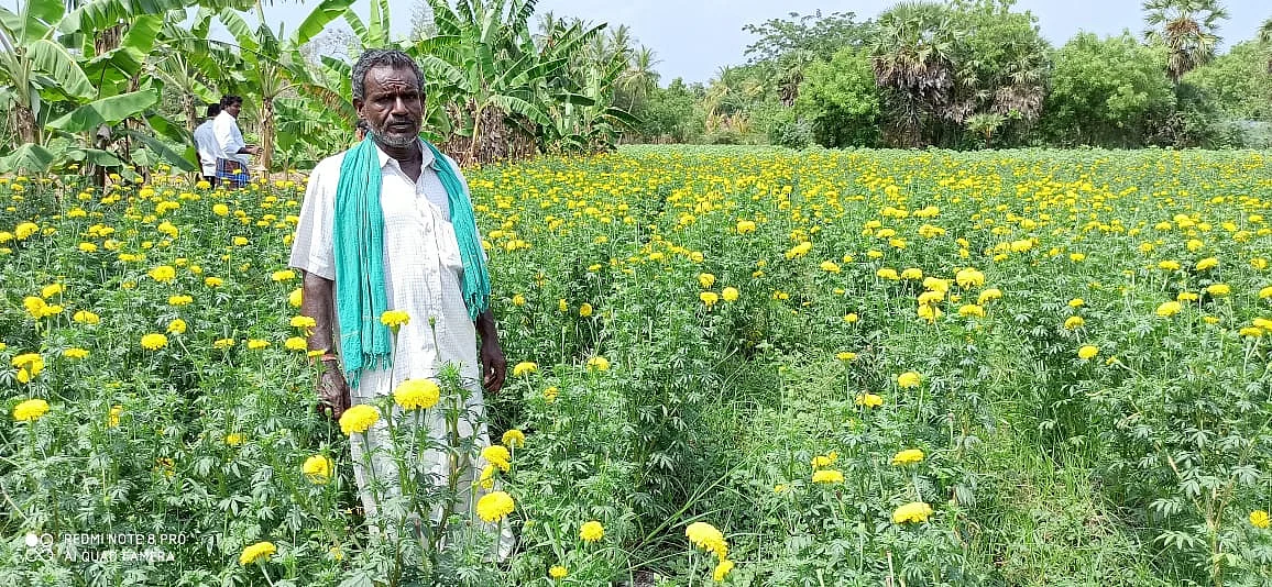 ரவிசங்கர்