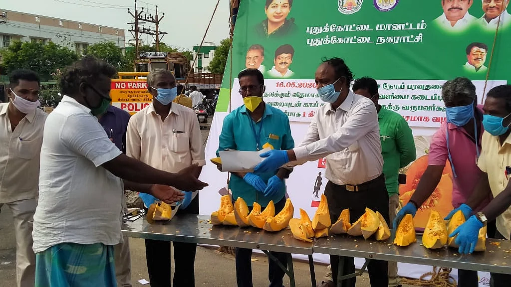 பரங்கிக்காய் விநியோகம்