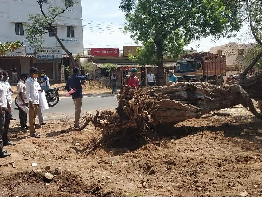 `100 ஆண்டுகளைக் கடந்த 15 புளிய மரங்கள்!' - கரூரில் விதிகளை மீறி வெட்டிச் சாய்த்த அதிகாரிகள்?