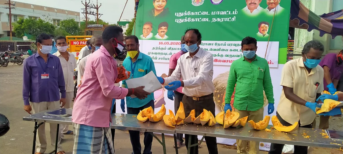 பரங்கிக்காய் விநியோகம்‘