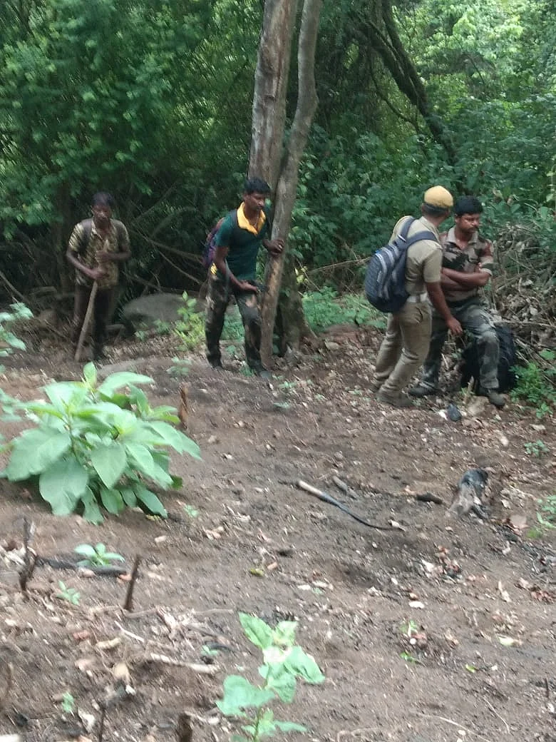 வனத்துறையினர்