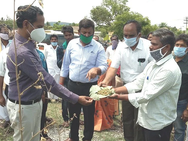 `இது நம்ம ஊர் வெட்டுக்கிளிதான்; பயப்பட வேண்டாம்!’ -கிருஷ்ணகிரியில் ஆய்வு நடத்திய வேளாண் அதிகாரிகள்