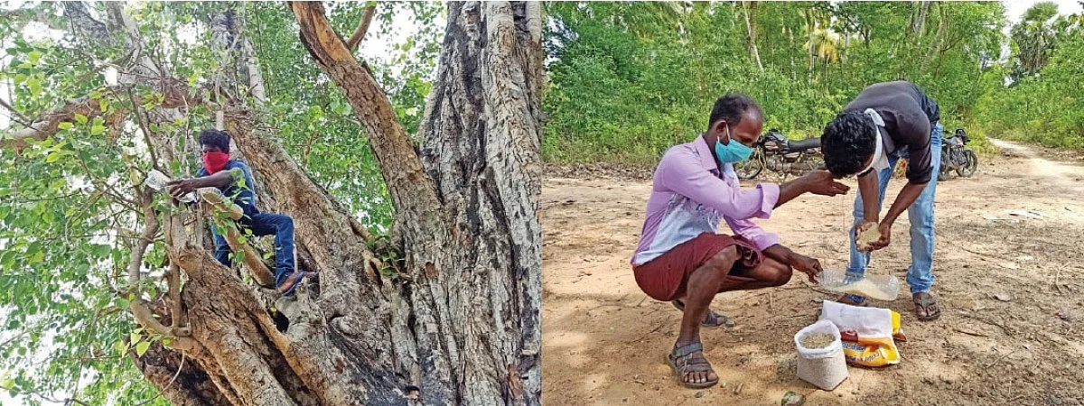 மரங்களில் தண்ணீர் பாட்டில்கள்... பறவைகளின் தாகம் தீர்க்கும் இளைஞர்கள்!