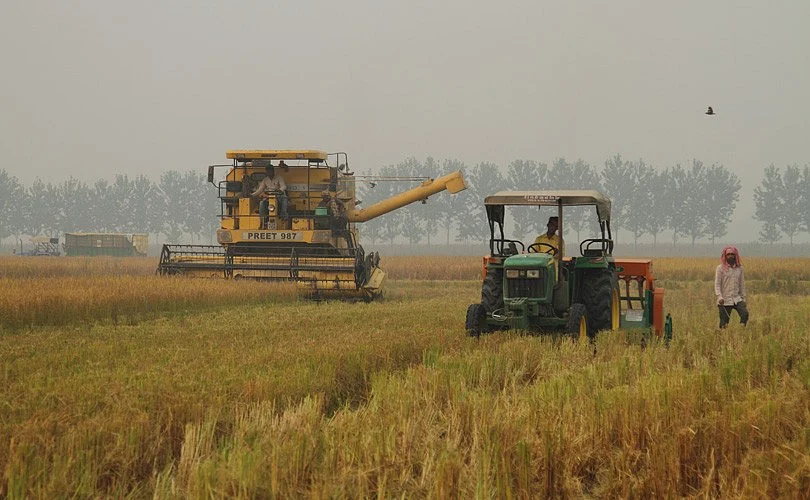 Wheat harvesting