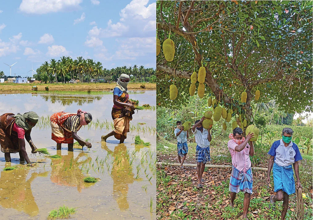 இயற்கை விவசாயிகள்.