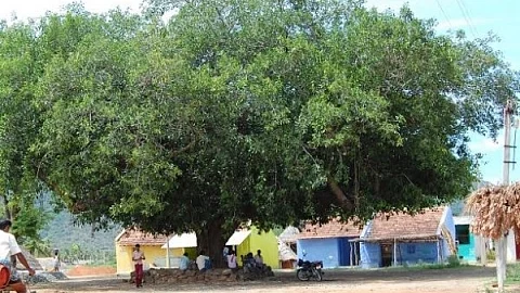 வாச்சாத்தி