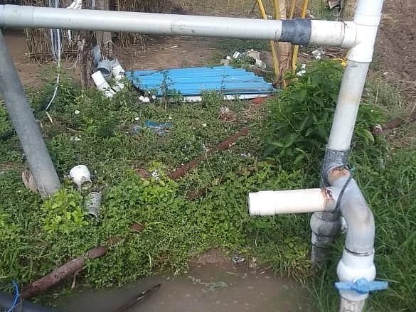 `50,000 விவசாய மின் இணைப்புகள்; அரசாணை வெளியிடாதது ஏன்?’ - ஆதங்கப்படும் விவசாயிகள்