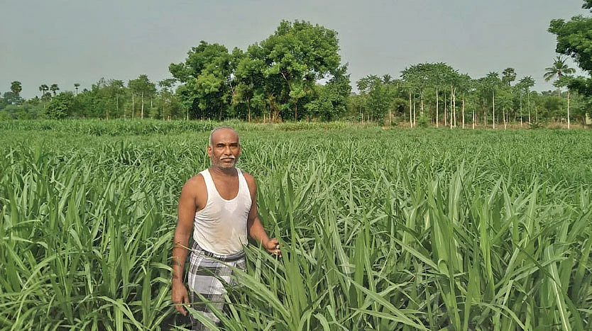 தவிக்கவிட்ட தனியார் நிறுவனங்கள்... அரவணைத்த அரசு நிறுவனம்! - கொரோனா காலத்தில் கைகொடுத்த ஆவின்!