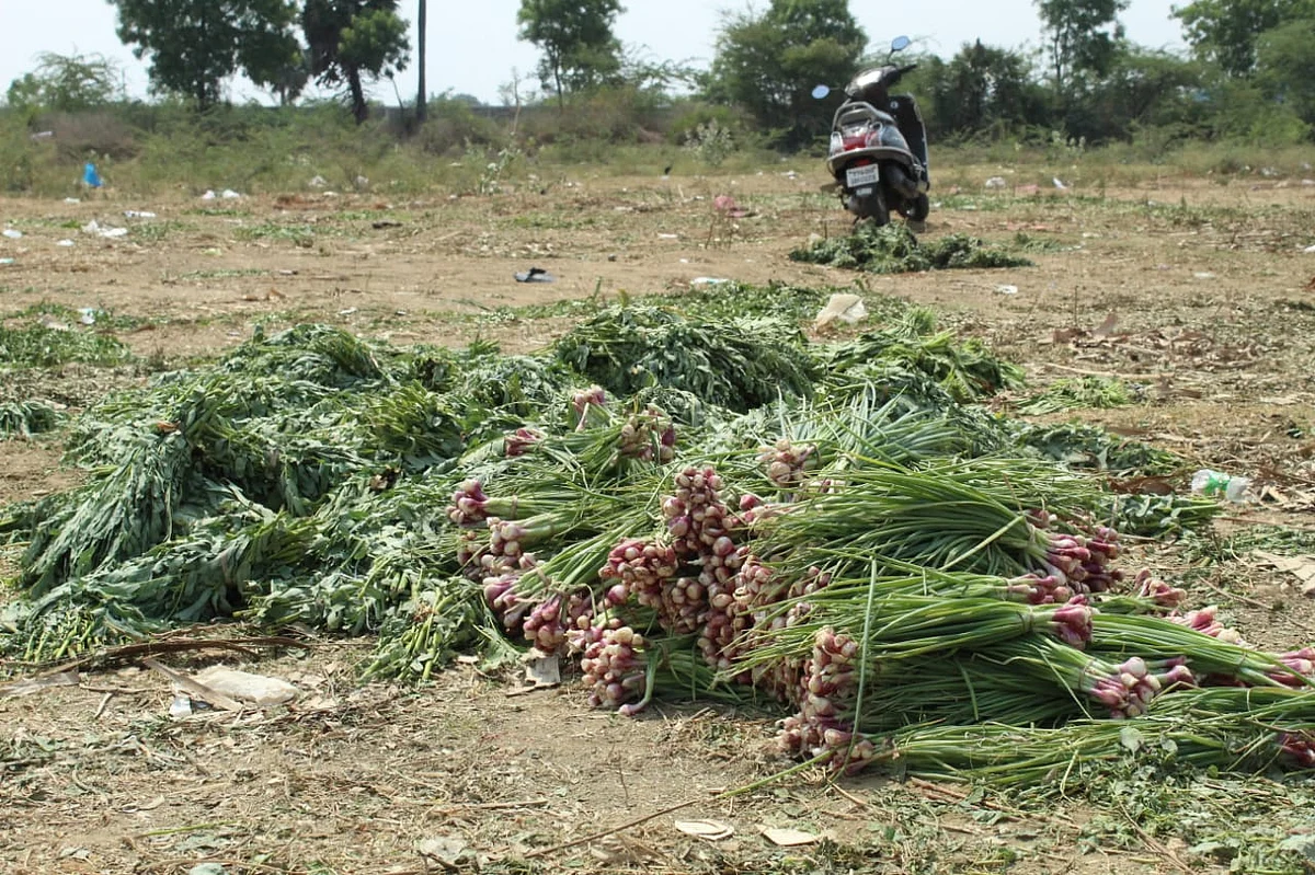 கீழே கொட்டப்பட்ட காய்கறிகள்