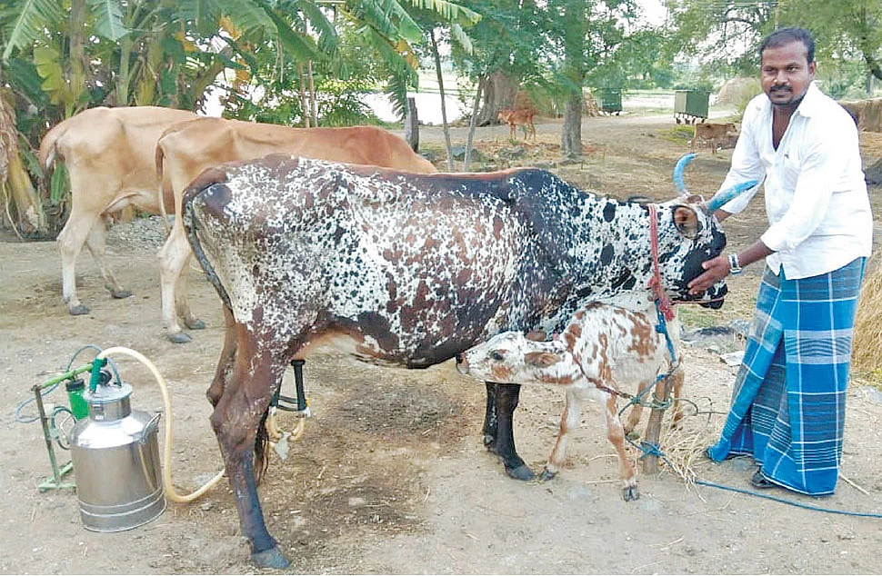 சத்தியமூர்த்தி