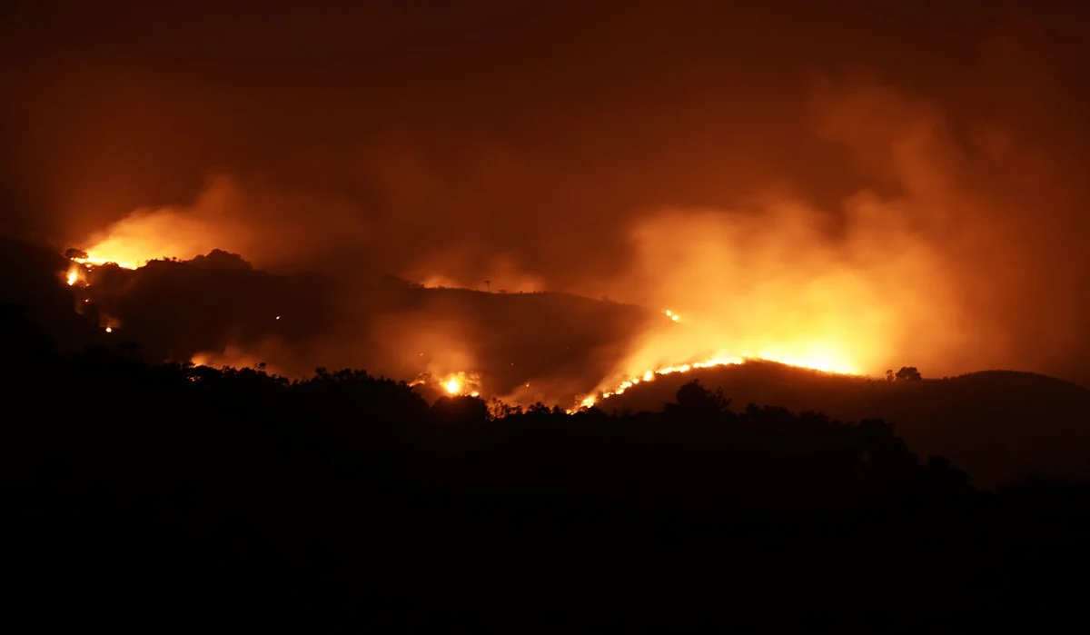 forest fire