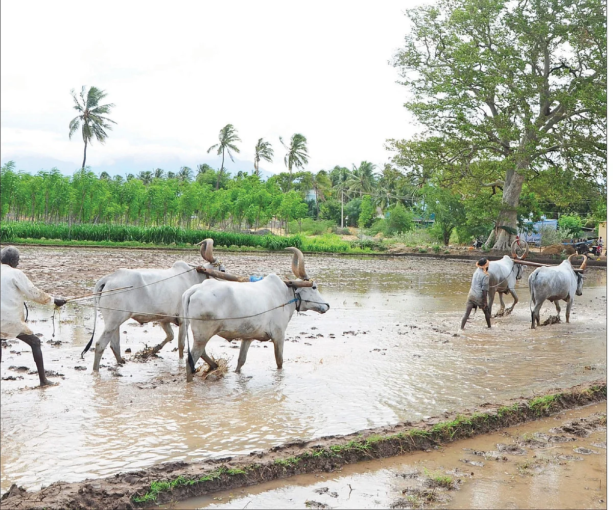 “காகிதப்பூ மாலை!” - 20 லட்சம் கோடி யாருக்கு?