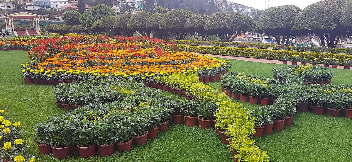 ooty rose park