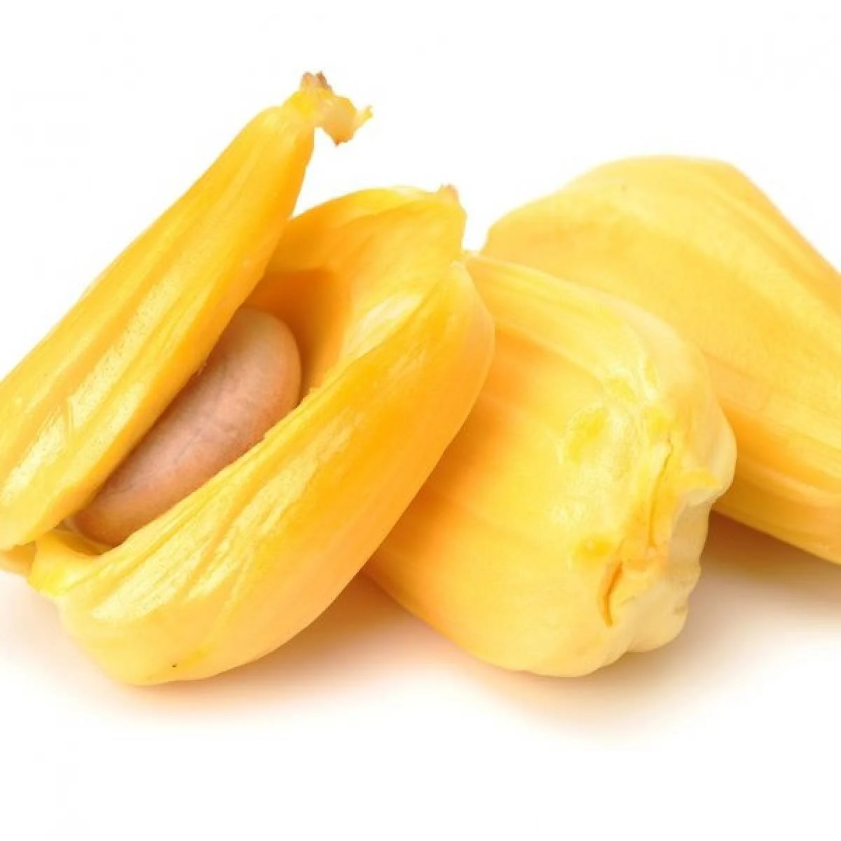 Jack Fruit