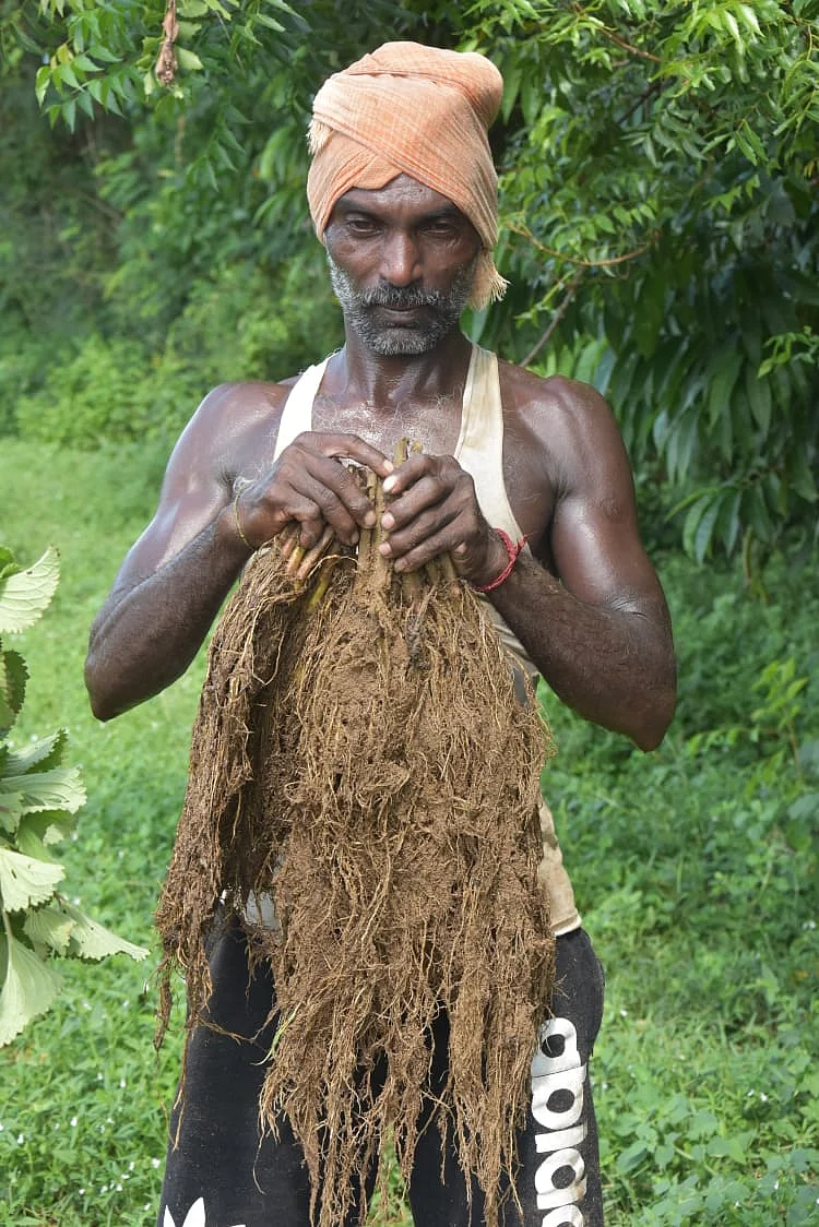 பன்னீர்செல்வம்